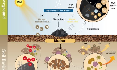 Experimental conditions (1)