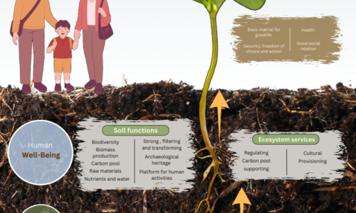 SOIL PROPERTIES