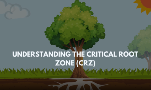 Screenshot 2025-02-20 010552