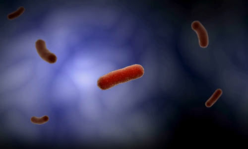 Screenshot 2025-02-20 010638