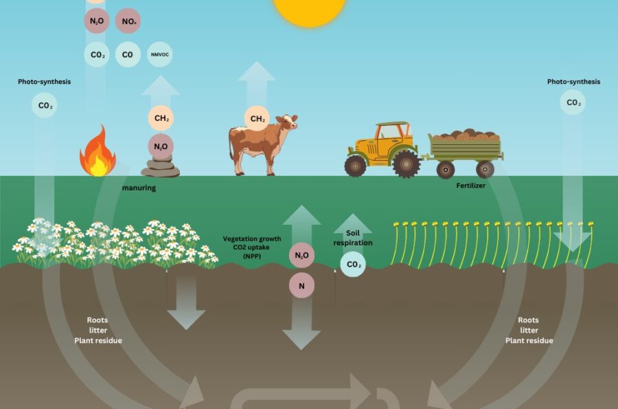 WhatsApp Image 2024-08-30 at 1.53.29 AM